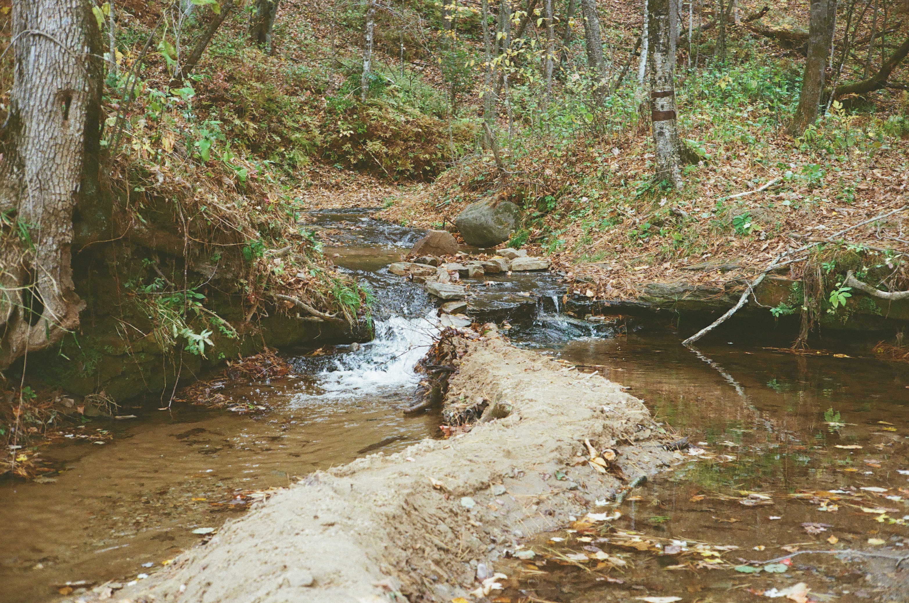 Keil Birch Creek Preserve, Menomonie WI - Creek